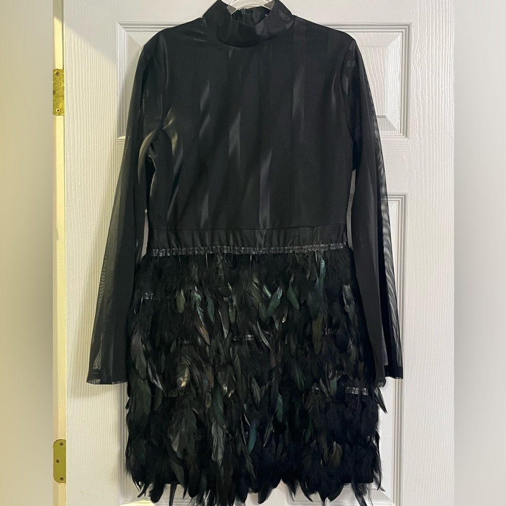 Elegant Black Feathered Dress